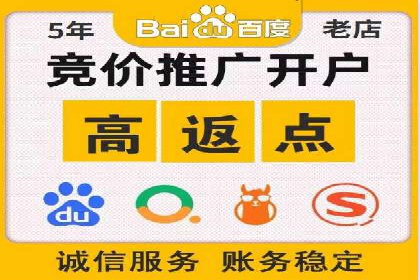 专业SEM服务公司案例分析报告